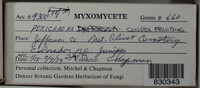 Image Associated With the Occurence